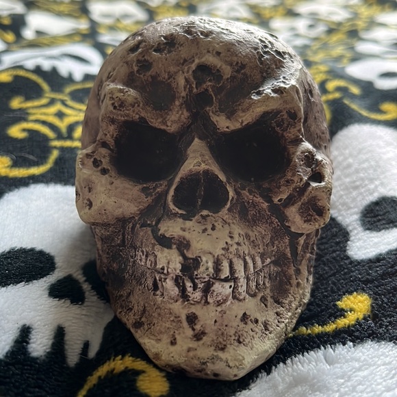 ๐ FISH ๐ฆ LIZARD AQUARIUM/TANK ๐ WAITED SKULL โ ๏ธ - Picture 1 of 7